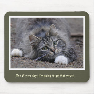 Mousepad Gato de gato malhado engraçado que vai obter esse