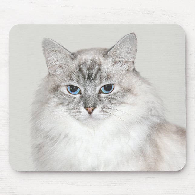 Mousepad Gato de Himalaia azul (Frente)