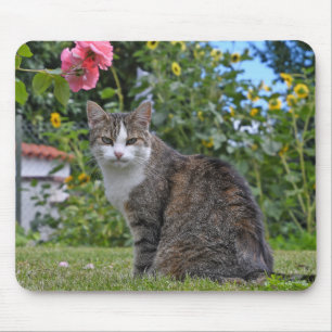 Mousepad gato de mesa no jardim