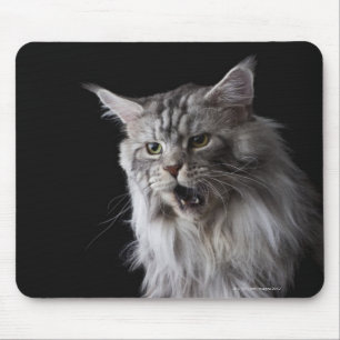 Mousepad Gato de racum 2 de Maine