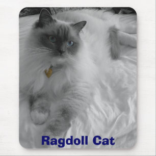 Mousepad Gato de Ragdoll