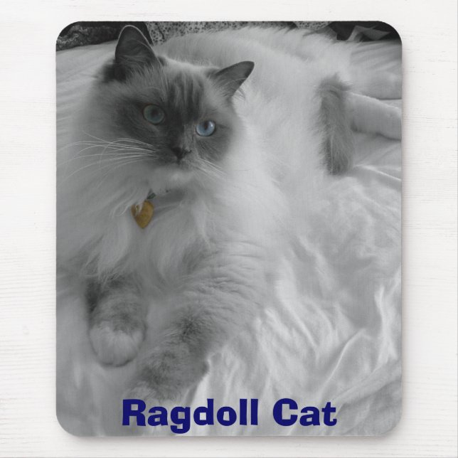 Mousepad Gato de Ragdoll (Frente)