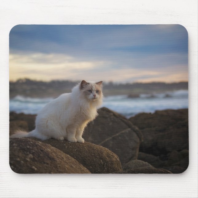 Mousepad Gato de Ragdoll na praia (Frente)