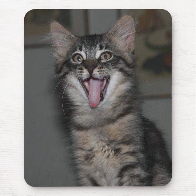 Mousepad Gato de Rato de Gatinho (Frente)