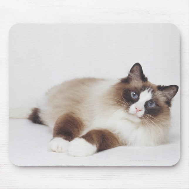 Mousepad Gato de Reciclagem (Frente)