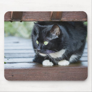 Mousepad Gato de smoking preto e branco