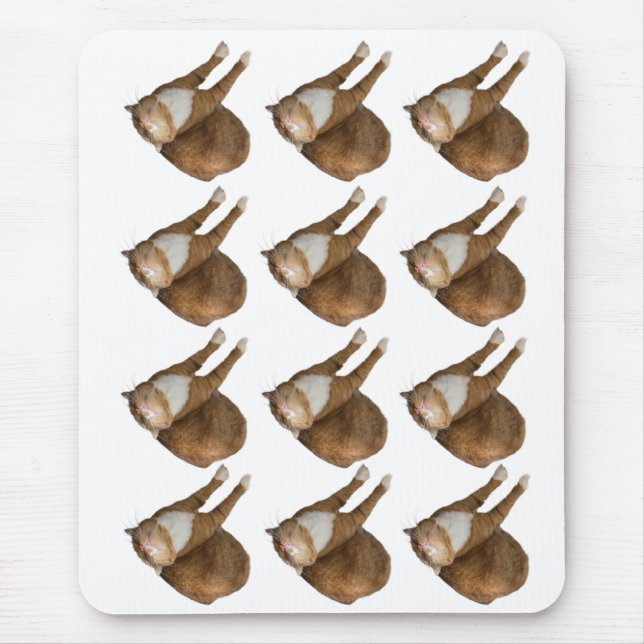 Mousepad Gato de Sol de Cabeça para Baixo (Frente)