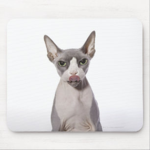 Mousepad Gato de Sphynx com língua para fora