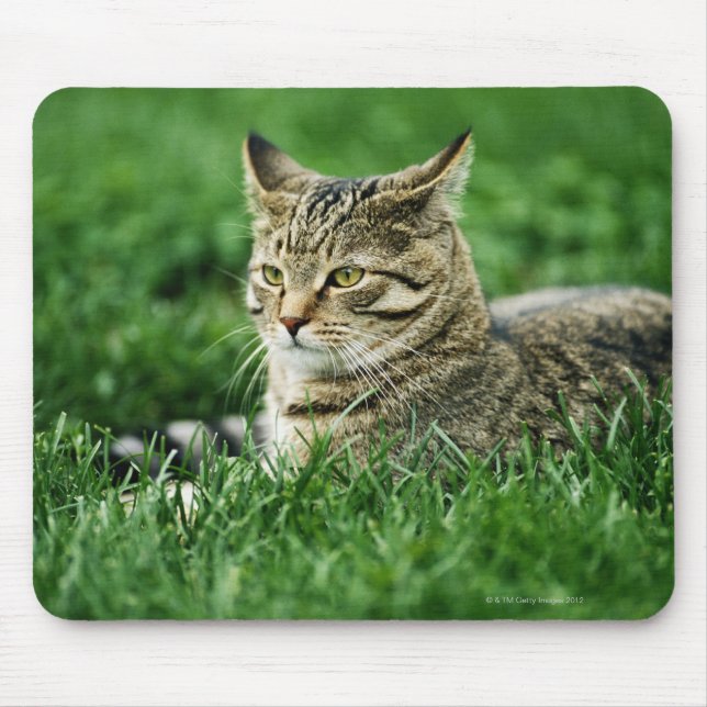 Mousepad Gato deitado na grama (Frente)