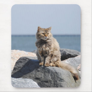 Mousepad Gato Desgrenhado pelo Mar Foto Fofa