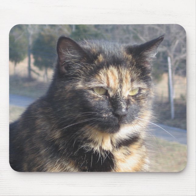 Mousepad Gato digno (Frente)