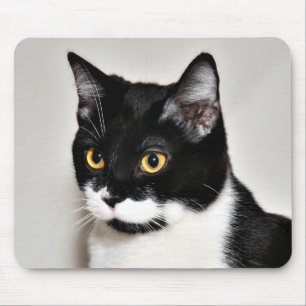 Mousepad Gato do smoking