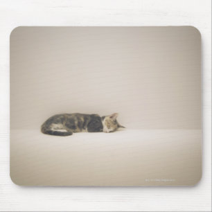 Mousepad Gato do sono