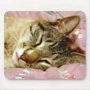 Mousepad Gato Dormindo