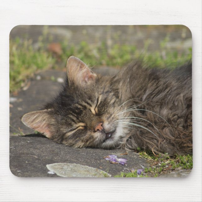 Mousepad Gato Dormindo (Frente)