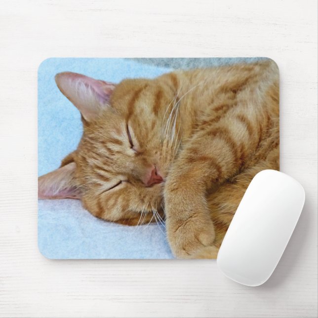 Mousepad Gato Dormindo (Com mouse)