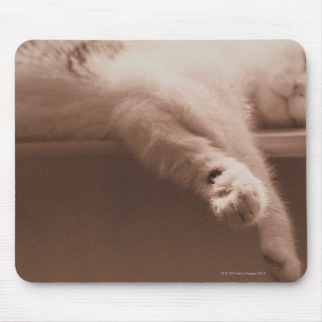 Mousepad Gato Dormindo (Frente)