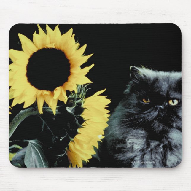 Mousepad Gato e Girassol (Frente)