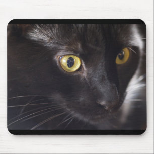 Mousepad Gato e rato