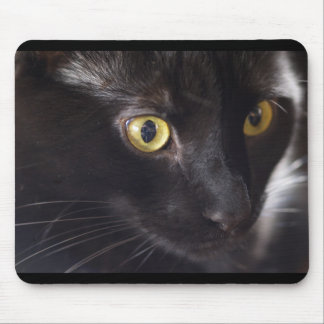 Mousepad Gato e rato