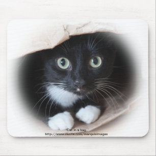 Mousepad Gato em um saco