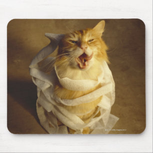 Mousepad Gato envolvido na gaze médica