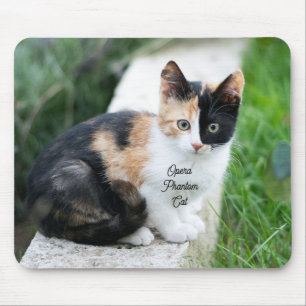 Mousepad Gato Fantasma da Ópera