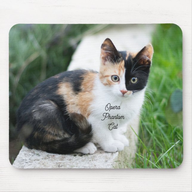 Mousepad Gato Fantasma da Ópera (Frente)