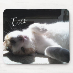 Mousepad Gato Feline Mouse Pad!