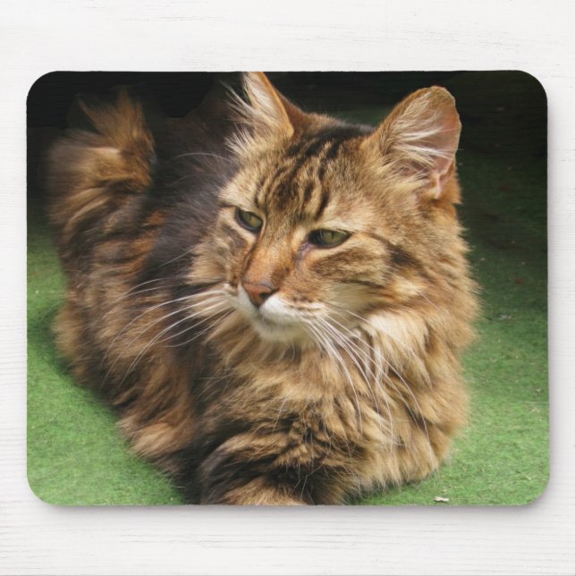 Mousepad Gato Florestal Norueguês (Frente)