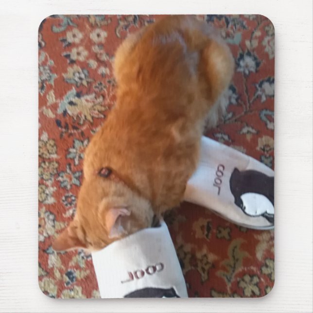 Mousepad gato gengibre do mouse legal (Frente)