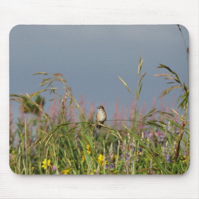 Mousepad Gato-gordo (Frente)