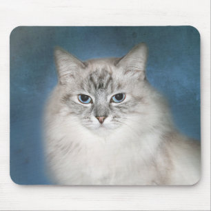 Mousepad Gato Himalaia do ponto azul