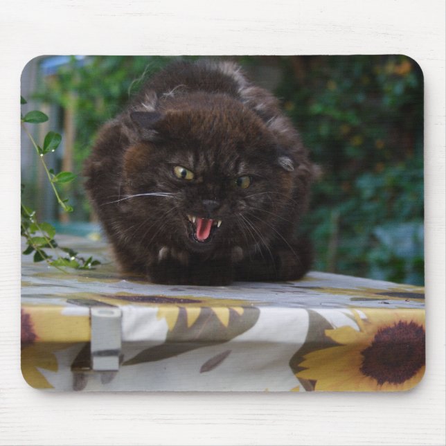 Mousepad Gato Irritado (Frente)
