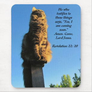 Mousepad Gato, Jesus de espera