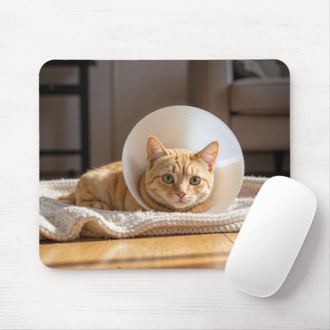 Mousepad Gato Laranja Vestindo um Cone da Vergonha (Com mouse)