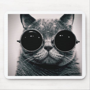 Mousepad gato legal!