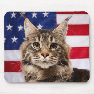 Mousepad Gato Maine Coon Com Bandeira Americana