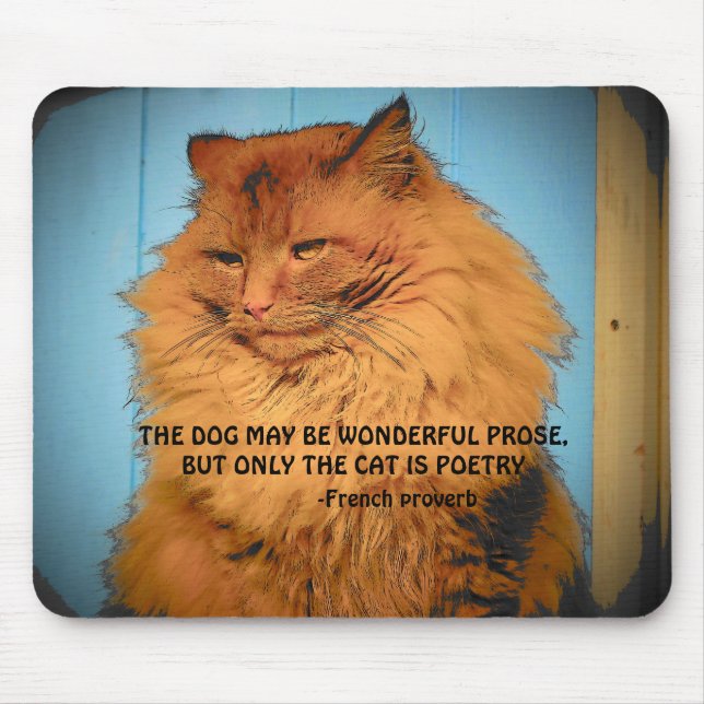 Mousepad Gato Maine Coon com Provérbio Francês (Frente)