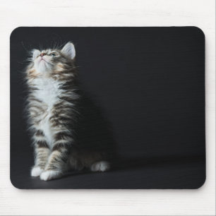 Mousepad Gato malhado alto