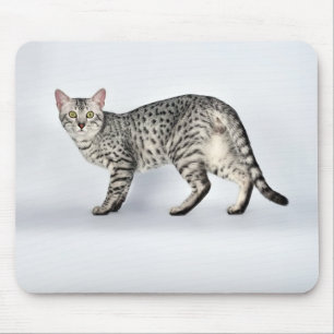 Mousepad Gato Mau Egípcio Raro