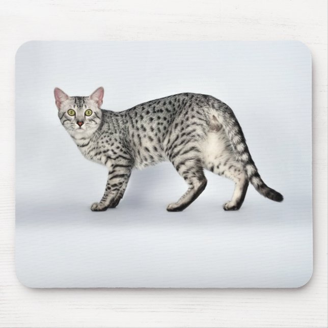 Mousepad Gato Mau Egípcio Raro (Frente)