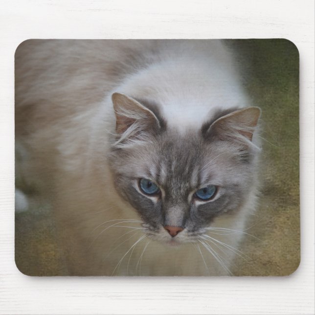 Mousepad Gato Mousemat de Ragdoll (Frente)