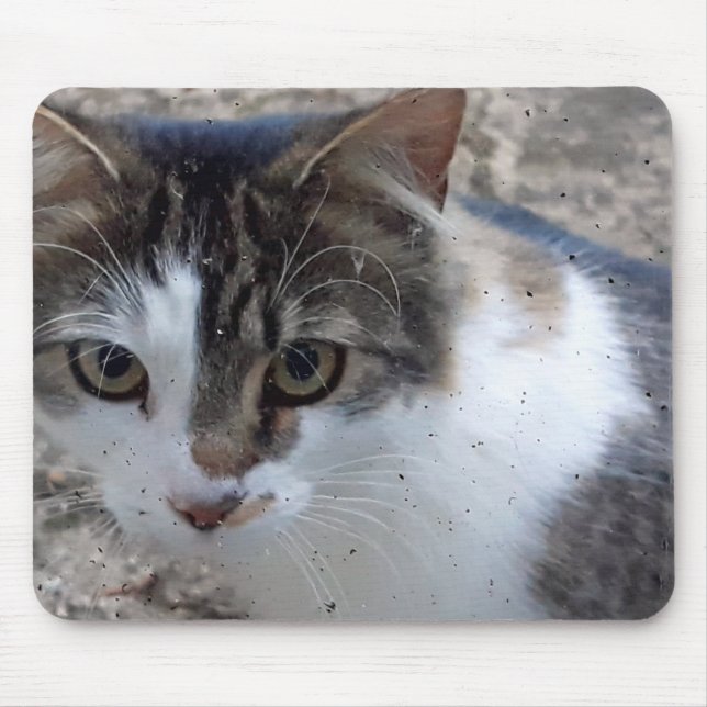 Mousepad Gato na janela (Frente)