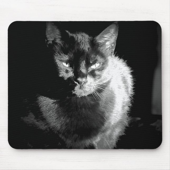 Mousepad Gato Negro brilhante (Frente)