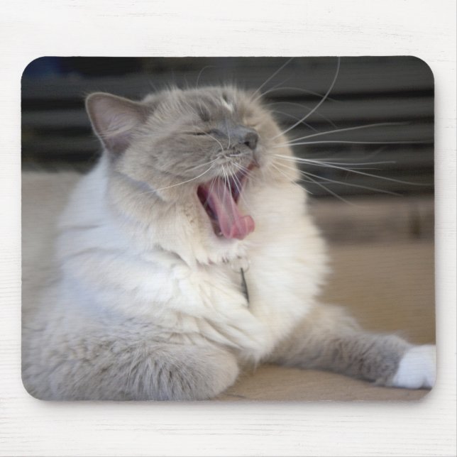 Mousepad gato Neva Masquerade bocejando (Frente)