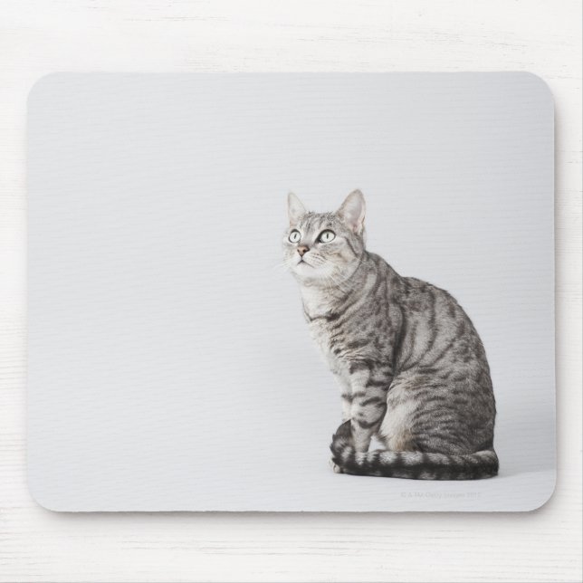 Mousepad Gato olhando (Frente)