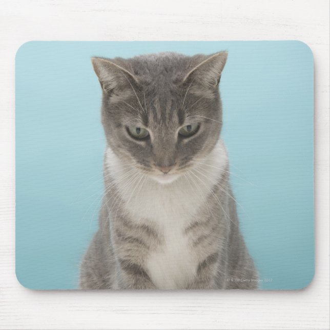 Mousepad Gato olhando o rato de brinquedo no tapete (Frente)