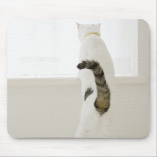 Mousepad Gato olhando pela janela, vista traseira