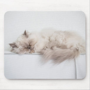 Mousepad Gato persa